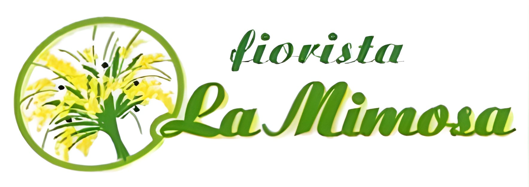 Fiorista La Mimosa